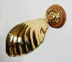 Shell Lamp in Polished  Brass